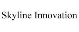 Mark drawing for SKYLINE INNOVATION