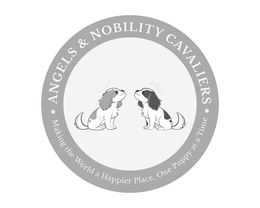 Mark drawing for ANGELS & NOBILITY CAVALIERS MAKING THE WORLD A HAPPIER PLACE, ONE PUPPY AT A TIME