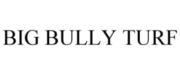 Mark drawing for BIG BULLY TURF