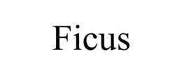 Mark drawing for FICUS