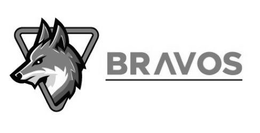 Mark drawing for BRAVOS