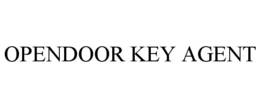 Mark drawing for OPENDOOR KEY AGENT