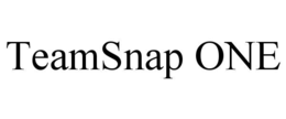 Mark drawing for TEAMSNAP ONE