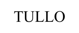 Mark drawing for TULLO