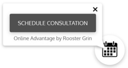 Mark drawing for SCHEDULE CONSULTATION ONLINE ADVANTAGE BY ROOSTER GRIN