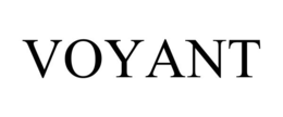 Mark drawing for VOYANT