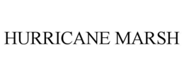 Mark drawing for HURRICANE MARSH