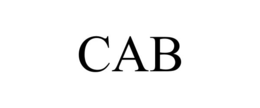 Mark drawing for CAB