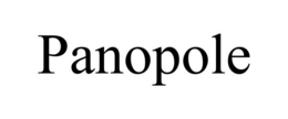 Mark drawing for PANOPOLE
