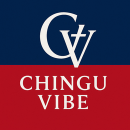 Mark drawing for CV CHINGU VIBE