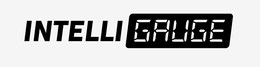 Mark drawing for INTELLI GAUGE