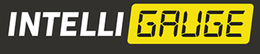 Mark drawing for INTELLI GAUGE