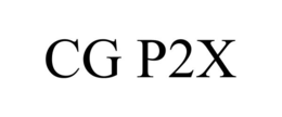 Mark drawing for CG P2X