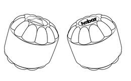 Mark drawing for AMBAR