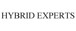 Mark drawing for HYBRID EXPERTS