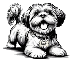 Mark drawing for BENJI-BEAR