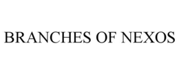 Mark drawing for BRANCHES OF NEXOS