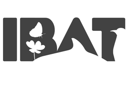 Mark drawing for IBAT