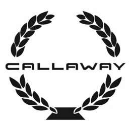 Mark drawing for CALLAWAY