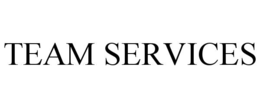 Mark drawing for TEAM SERVICES