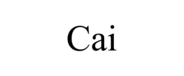 Mark drawing for CAI