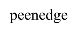 Mark drawing for PEENEDGE