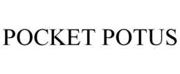 Mark drawing for POCKET POTUS