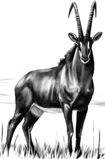 Mark drawing for 99368979