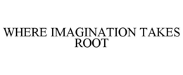 Mark drawing for WHERE IMAGINATION TAKES ROOT
