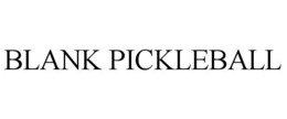 Mark drawing for BLANK PICKLEBALL