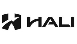 Mark drawing for H HALI