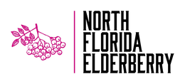 Mark drawing for NORTH FLORIDA ELDERBERRY