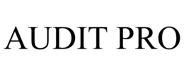 Mark drawing for AUDIT PRO