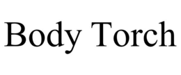 Mark drawing for BODY TORCH