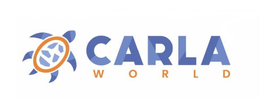 Mark drawing for CARLA WORLD