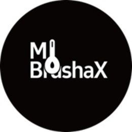 Mark drawing for MI BRUSHAX