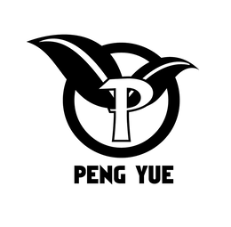 Mark drawing for P PENG YUE