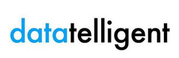 Mark drawing for DATATELLIGENT