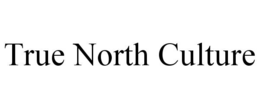 Mark drawing for TRUE NORTH CULTURE