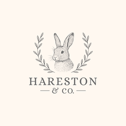 Mark drawing for HARESTON & CO.