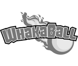 Mark drawing for WHAKABALL