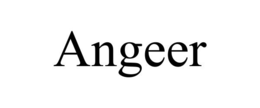 Mark drawing for ANGEER