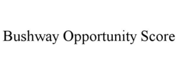 Mark drawing for BUSHWAY OPPORTUNITY SCORE