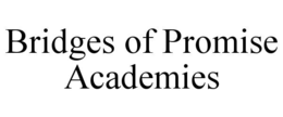 Mark drawing for BRIDGES OF PROMISE ACADEMIES