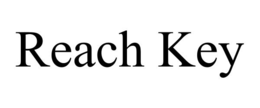 Mark drawing for REACH KEY