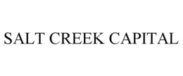 Mark drawing for SALT CREEK CAPITAL
