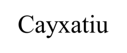 Mark drawing for CAYXATIU