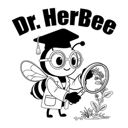 Mark drawing for DR. HERBEE