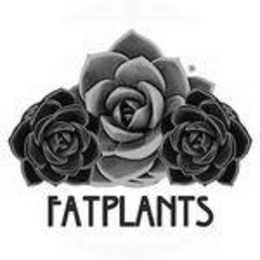 Mark drawing for FATPLANTS