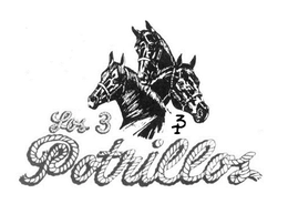 Mark drawing for LOS 3 POTRILLOS 3P